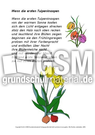 Gedicht-Wenn-die-ersten-Tulpenknospen.pdf